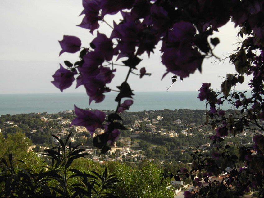 Ausblick