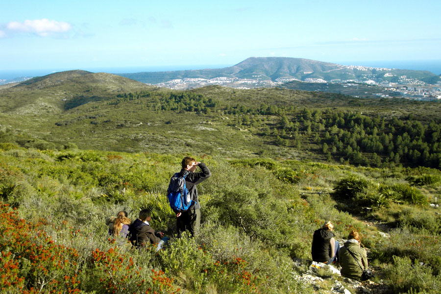 Fernblick aufs Meer