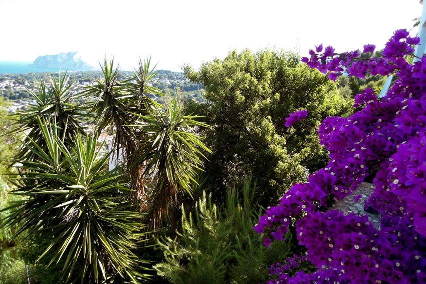 Gartenblick